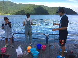 夏休みの自由研究