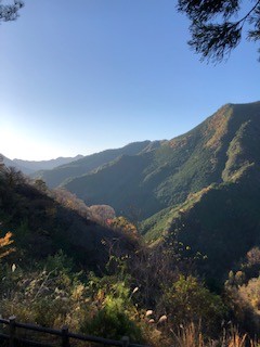 十津川村の奇跡