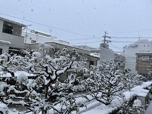 朝起きたら、窓の外は・・・