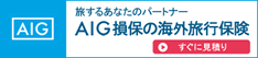 AIG 旅するあなたのパートナー AIG損保の海外旅行保険 すぐに見積り