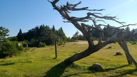 山登り