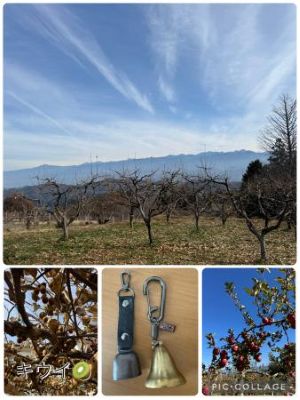 りんご収穫祭 in 長野