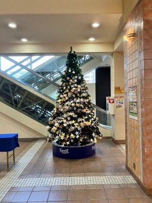 フェリエのクリスマスツリー